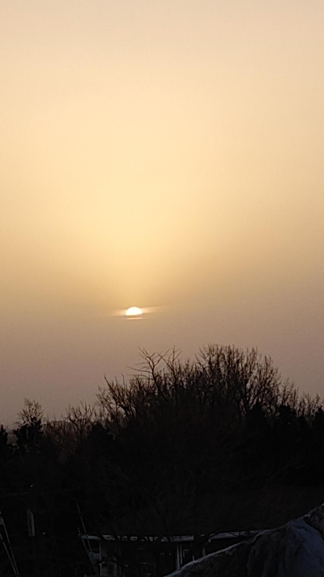 神二十返回“改签”，4只太空试验鼠沾光了
神二十延期返航，航天员只好用航天员自己