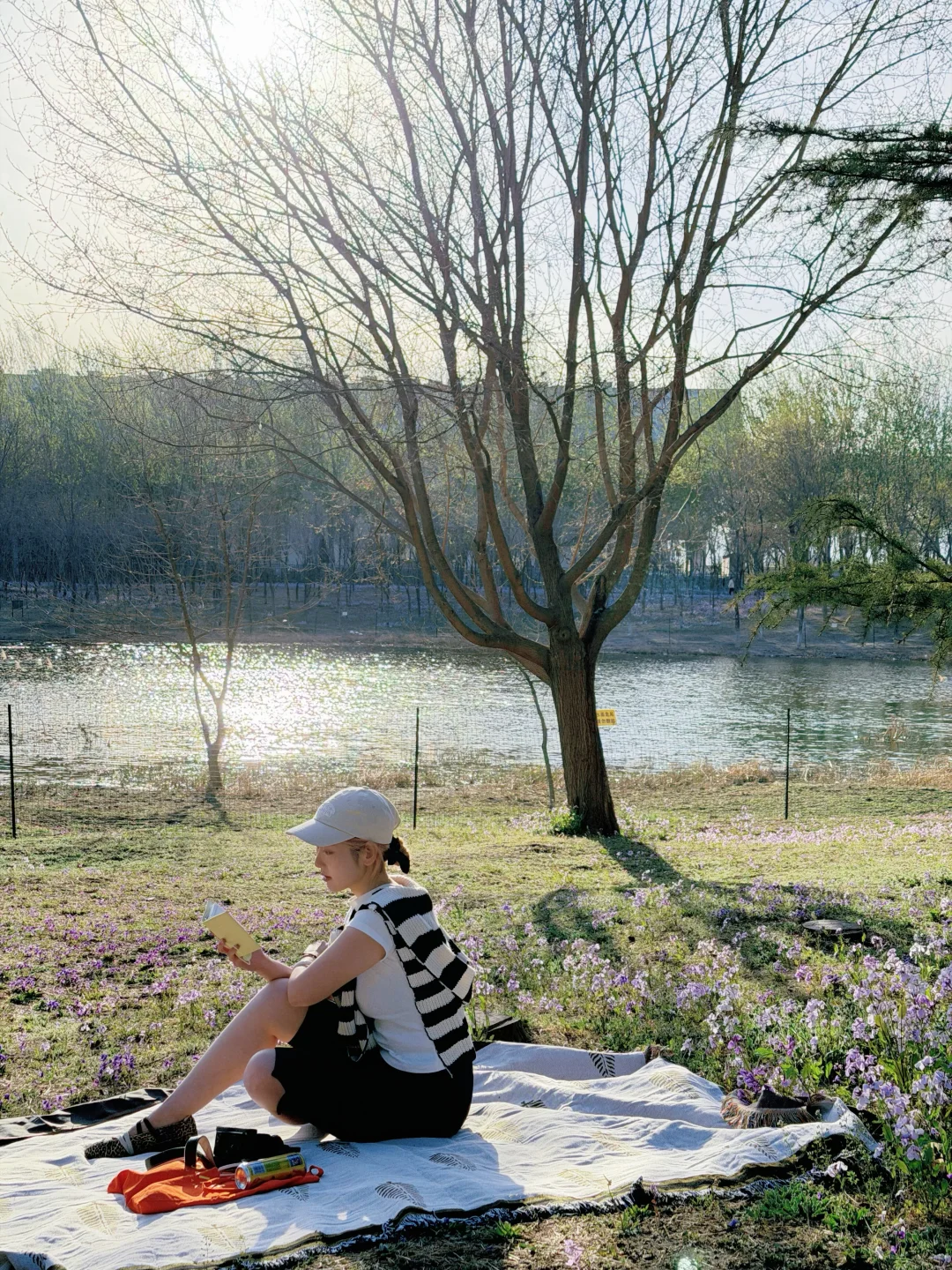 藏在公园里的野餐时刻✨