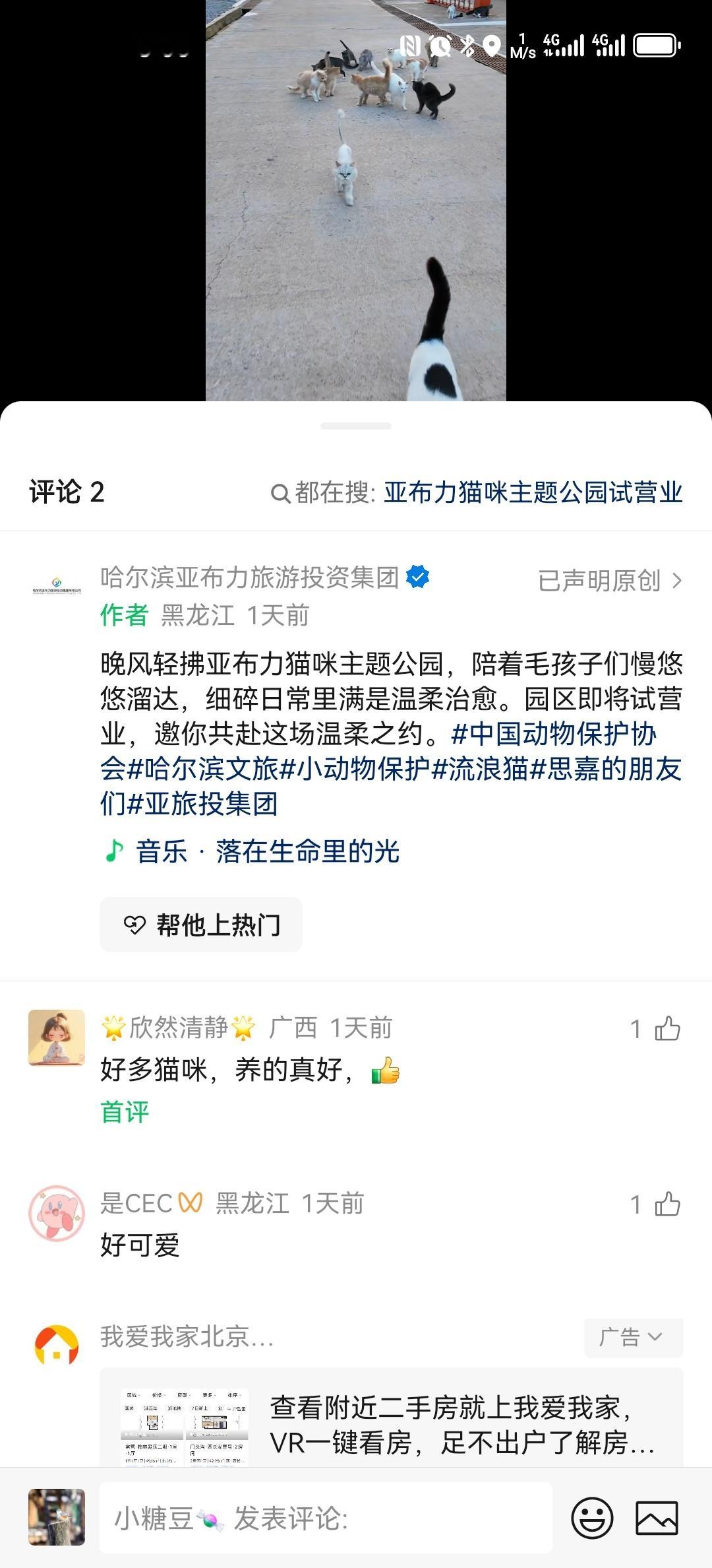 大熊猫思嘉 熊猫馆公众号昨天新发布即将试营业通知，航拍画面显示散养草坪向左延伸与