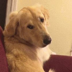 #早安# 要学会自己欣赏自己，别总是自己跟自己过不去。 