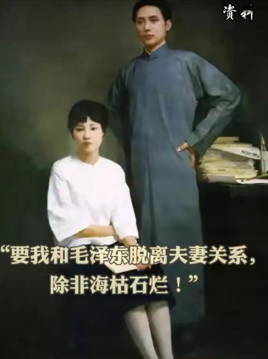 杨开慧本来不会牺牲的。当时国民党迫于社会各界压力，已经将释放她的条件降到了最低，