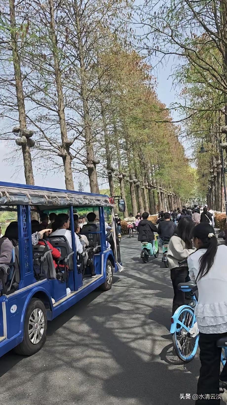 假期到处都是人[大笑][灵光一闪][灵光一闪][灵光一闪]