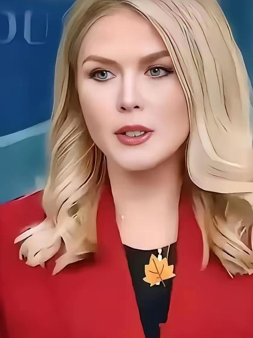 就在刚刚

美国白宫表态

2026年3月18日，风波再起的不是别处，是全球能源