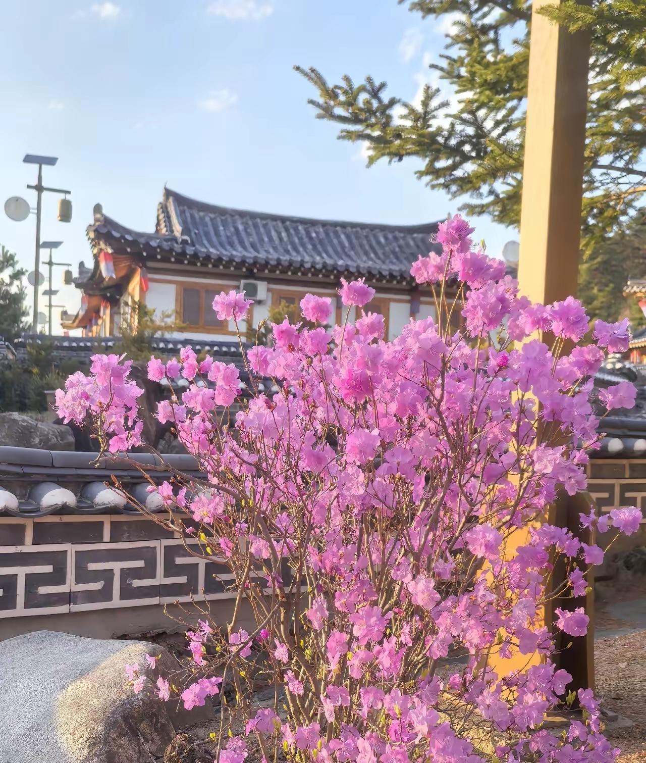 在延边值得漫游的十大景区，你都去过了吗！

        延边这个地方，没去过