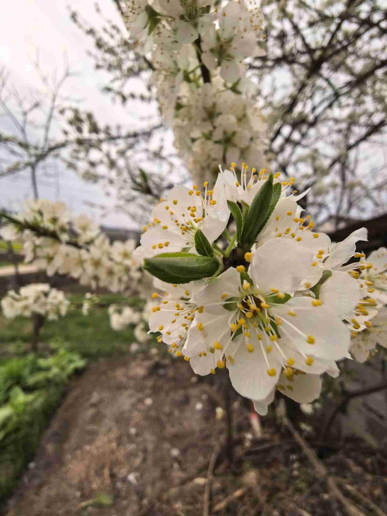 我的今日状态：😁轻松愉快
我这里的天气：☀️晴天