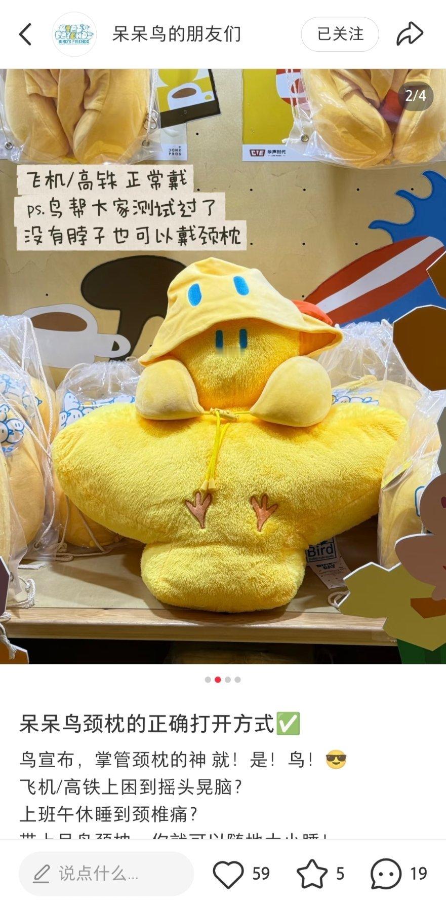 谁说家鸟没有脖子，它只是羽毛比较蓬松