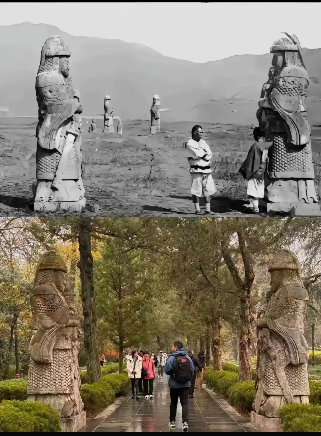 为什么以前人少植被反而更少？ ​​​
