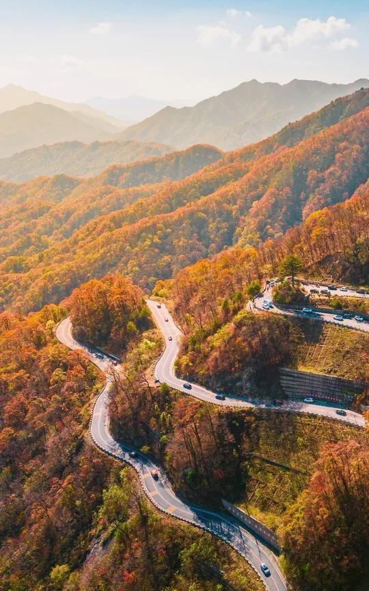 🍁武汉出发马丁公路自驾·罗田红叶2日游
DAY1 8:00从武汉出发
🦁10