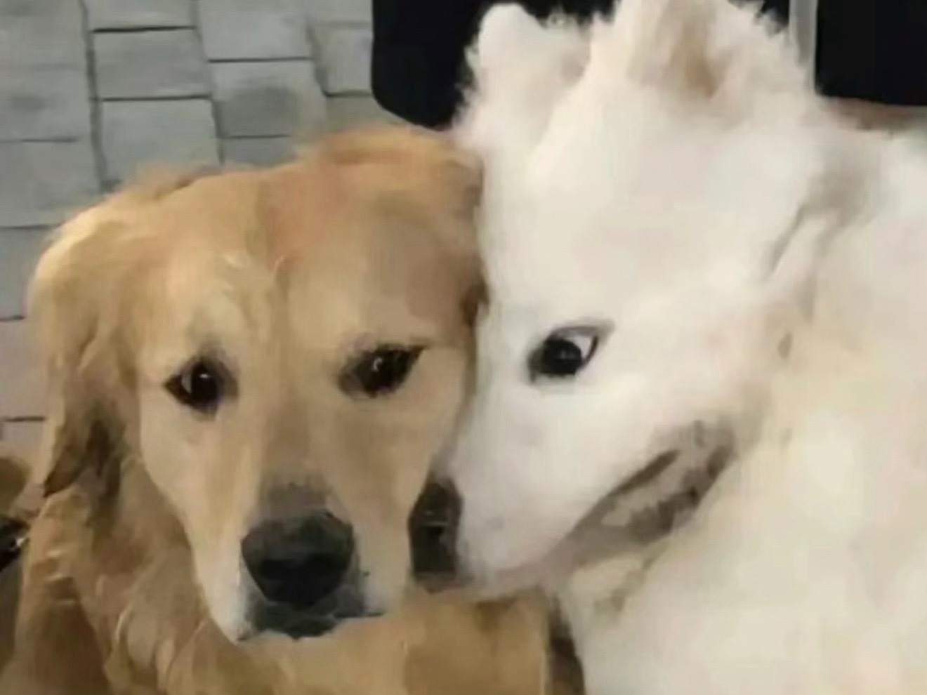 墨修尧：保持愤怒叶璃：面包状态.jpg 莫离