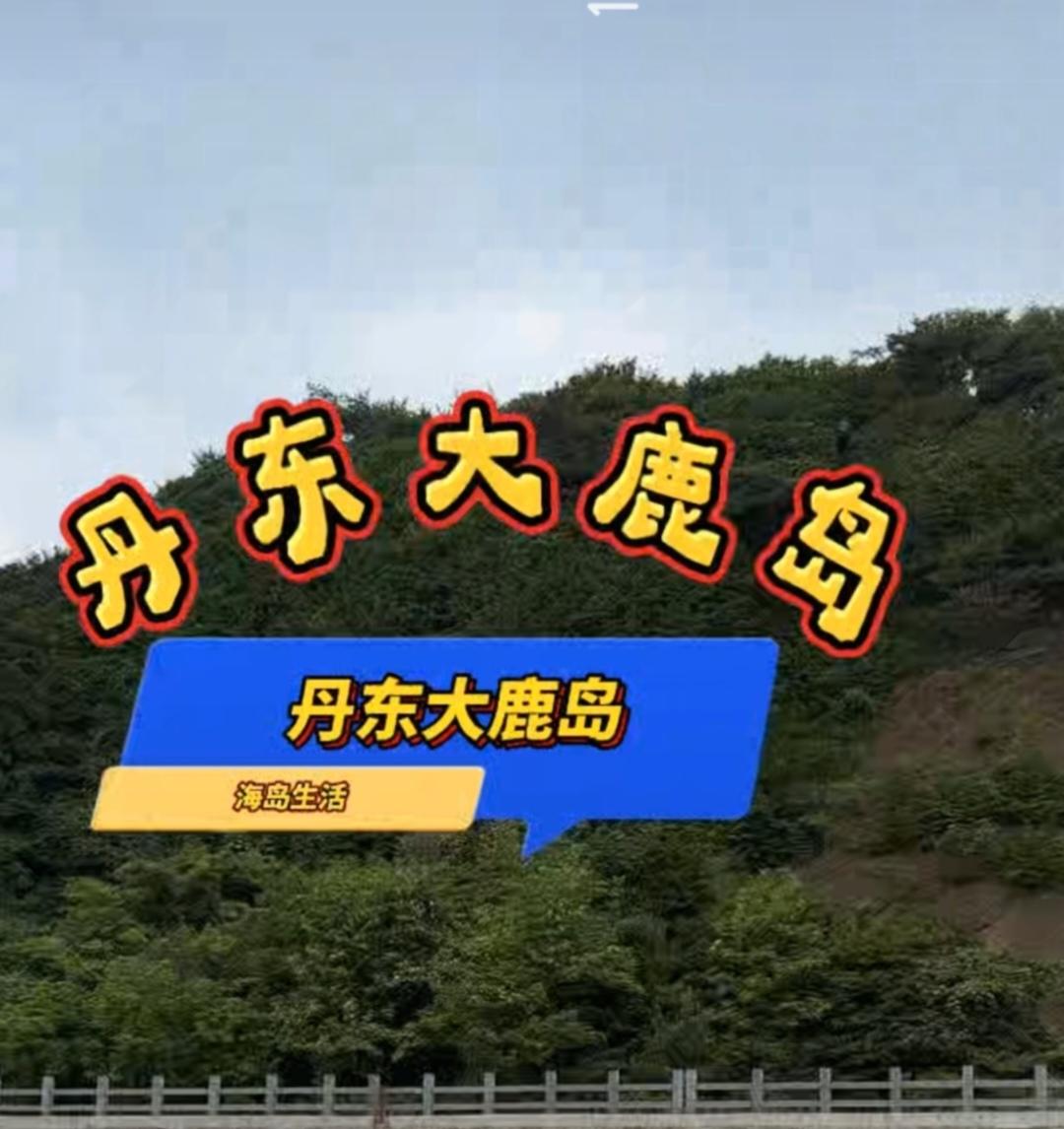 〔男性生殖系统（1）〕
 一、主要结构与功能
 （一）. 睾丸。
1.功能：产生
