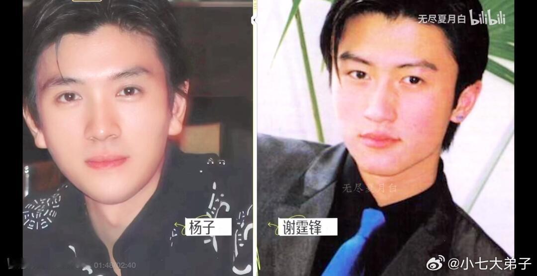 刘爽说杨子像谢霆锋 
