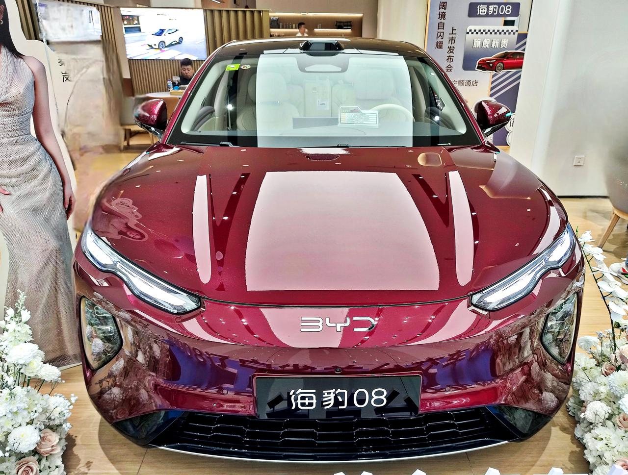 比亚迪旗舰新贵《海豹08》
   海豹08是比亚迪海洋网，大型旗舰轿跑，于202