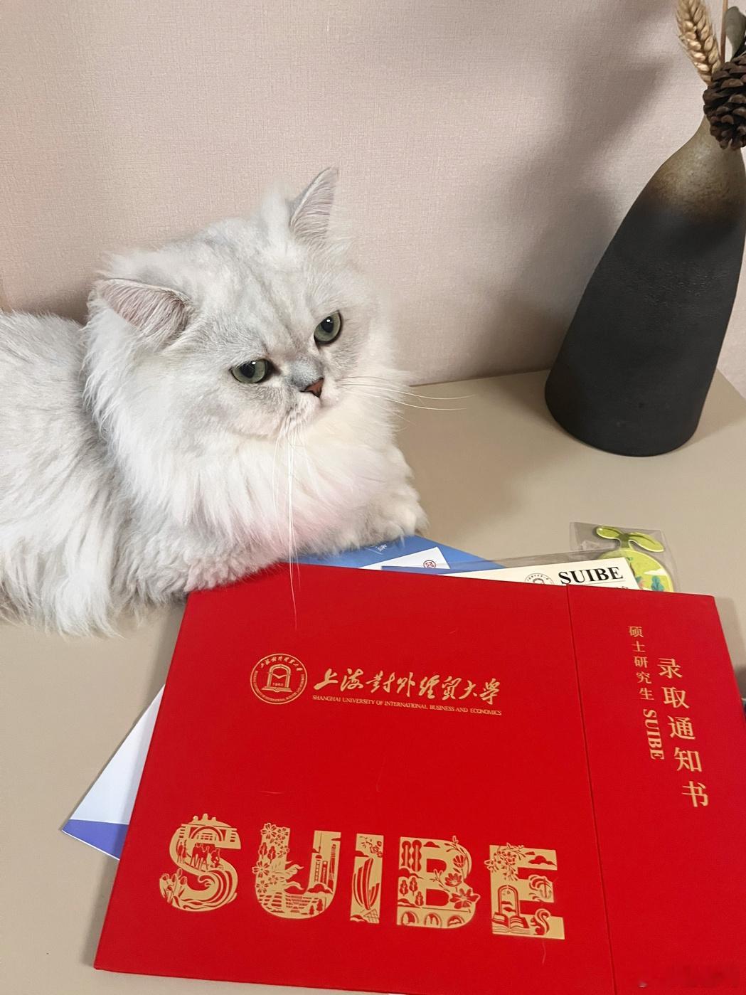 天地阔，且徜徉。 ​​​