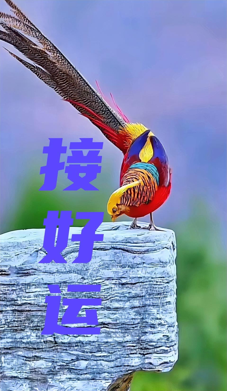 接了！周运（4/5～11）前六名——

天秤座♎️贵人运旺，果断出击，开启新生…