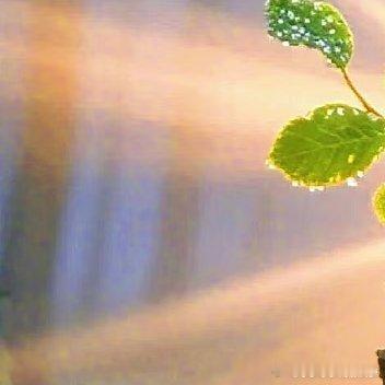 困难只是暂时的考验，不是永远的结局，保持微笑与勇气，奋力前行，时光定会给你最好的