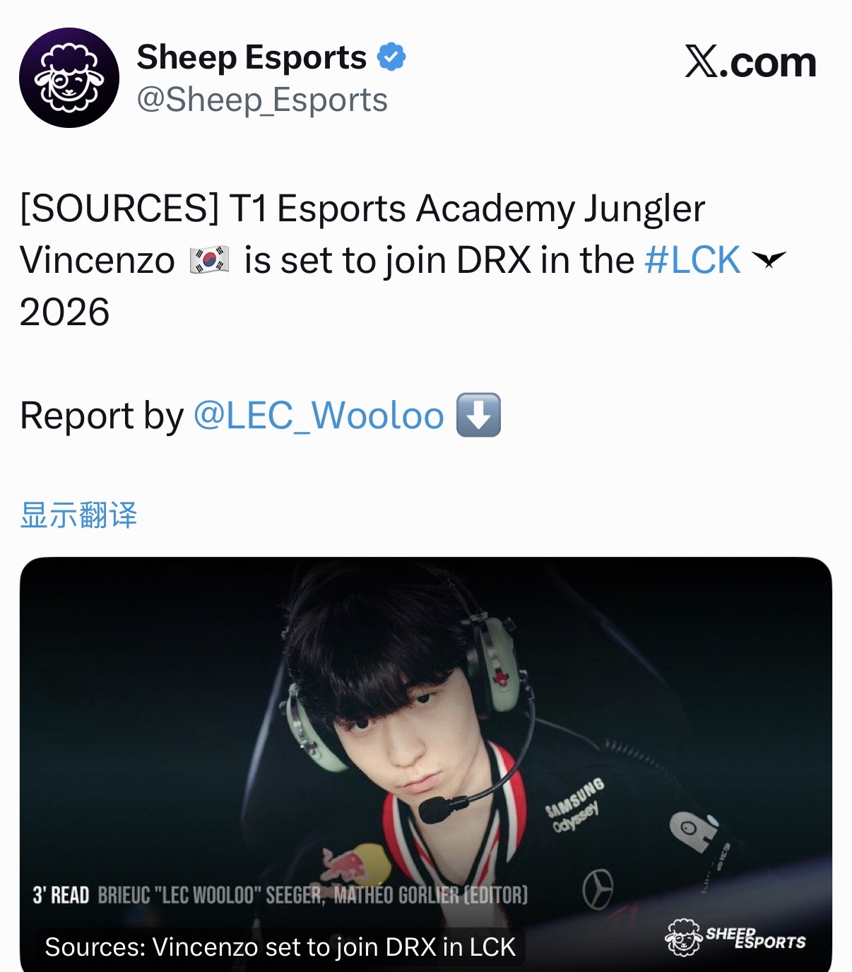 外媒曝T1打野选手Vincenzo将加入DRX