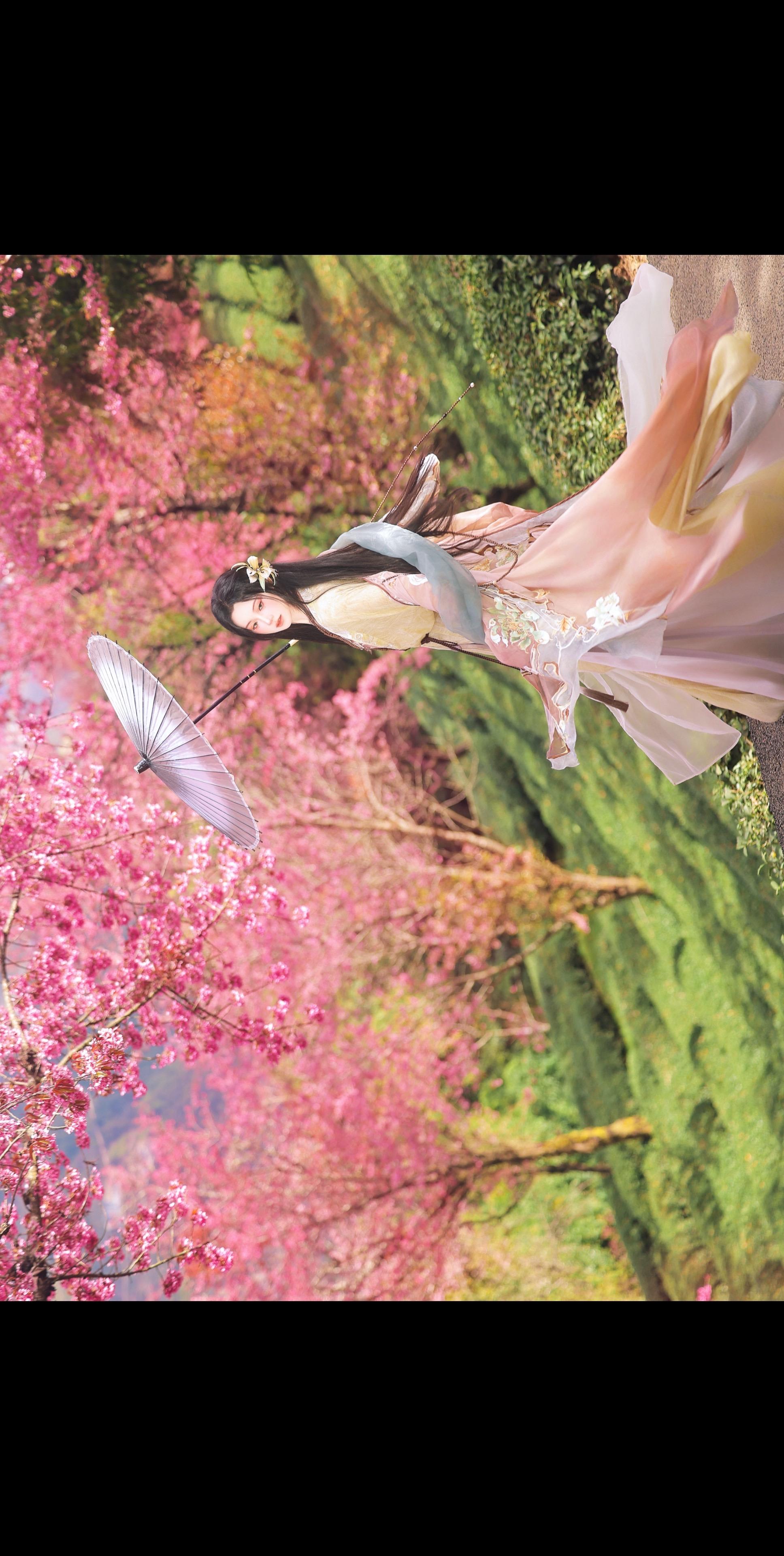 “跟着红尘 跟随我浪迹一生”无量山的樱花谷太美了 摄/后：我