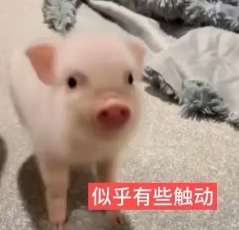 千万别因为自己的懒惰而焦虑，因为你努力起来不知道要捅多少篓子 ​​​