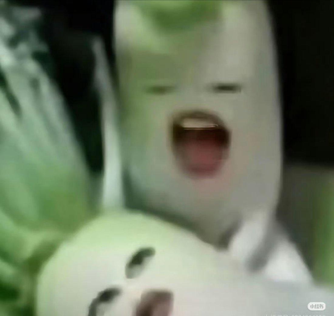 3366【求】类似的这种长着人脸的蔬菜水果梗图 ​​​