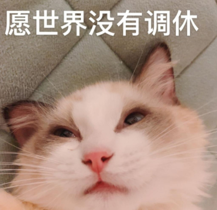 2026年春节将放假九天 为回应社会期待，2026 年春节将放假 9 天，同时减