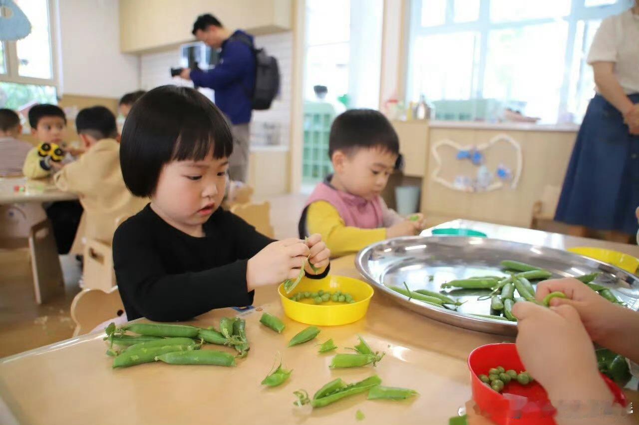 台州科学膳食让营养与家乡味守护孩童成长兼顾科学营养配比与地方特色美食，定制健康暖