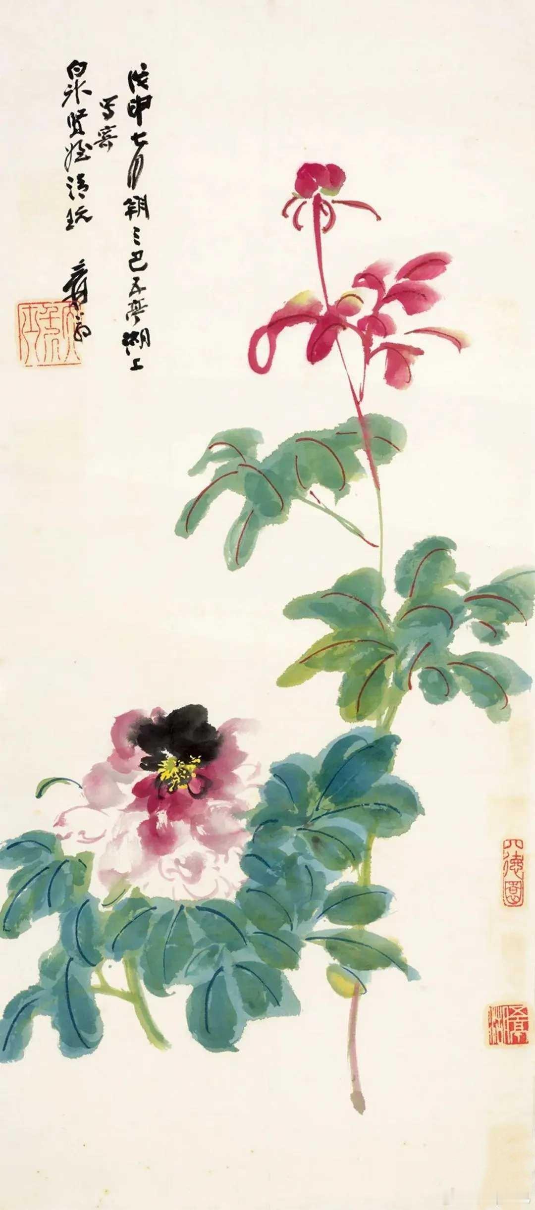 张大千《丰姿图》，设色纸本 画心 99×43.5cm。本件张大千笔下的没骨芍药，