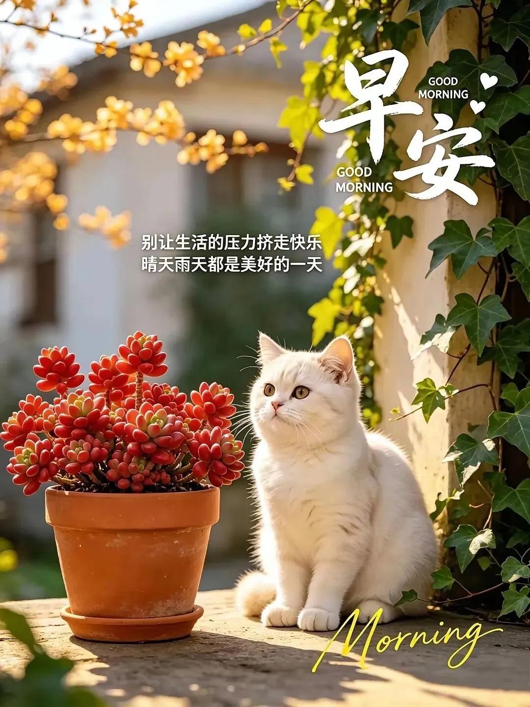 你认为家长有必要陪考吗我认为没有必要陪考，还是让孩子自由发挥好，家长陪考反而会增