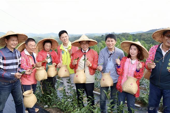 台南市长黄伟哲（右四）27日到东山区扮采茶农，宣告台南完成茶产业版图。（台南市政
