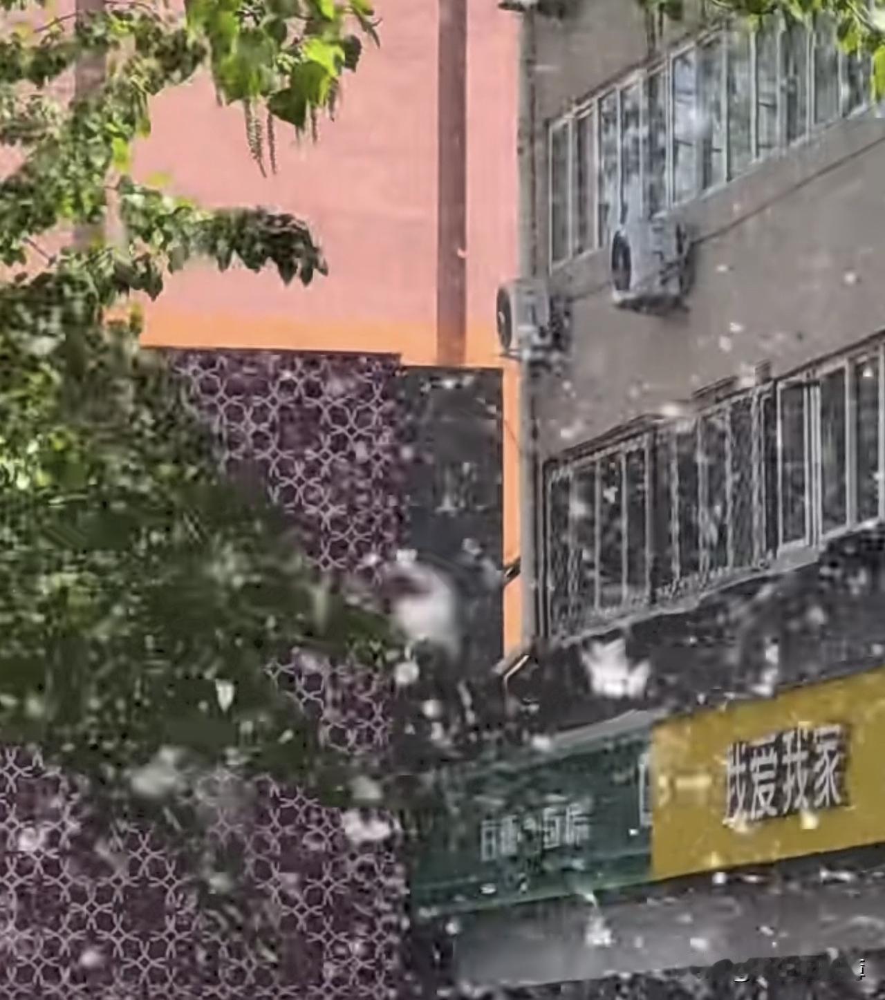 北京四月天。
看图片像不像大雪纷飞，记着出门戴口罩啊。