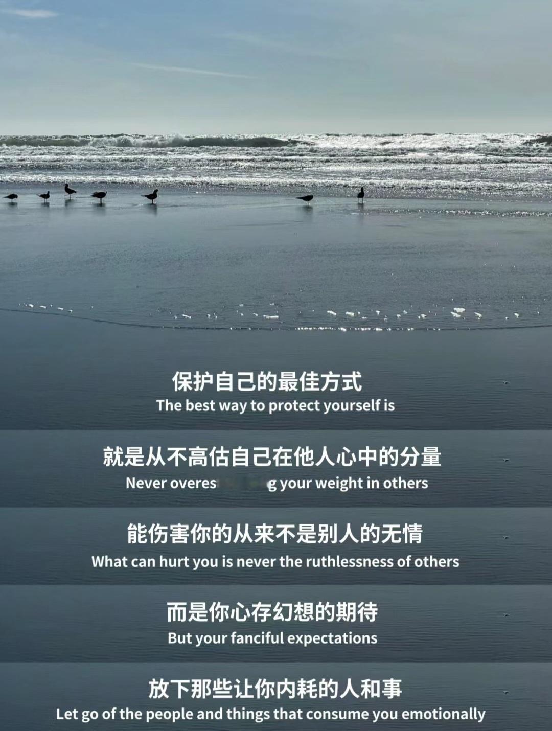 不高估自己在别人心中的分量。 ​​​