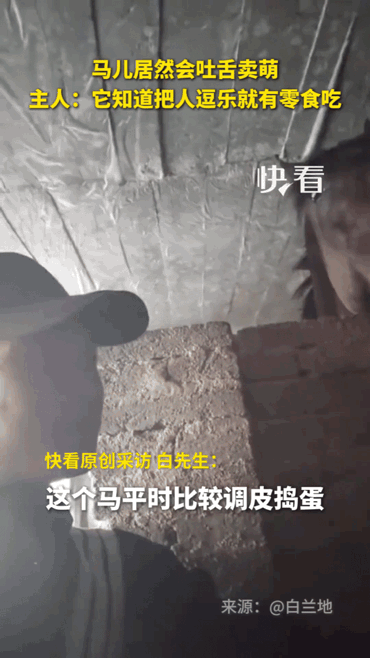 这匹会卖萌的小马都火到新华社啦！
         小马的主人表示：这匹马十分聪