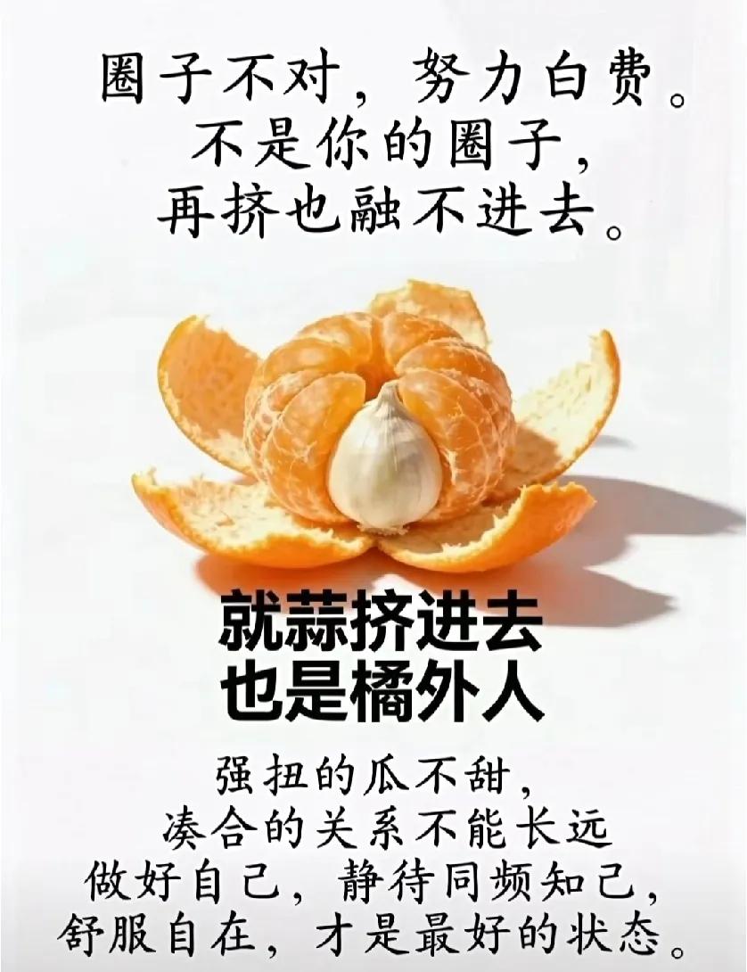 圈子不对，努力白费。

不是你的圈子，

再挤也融不进去。

就蒜挤进去

也是