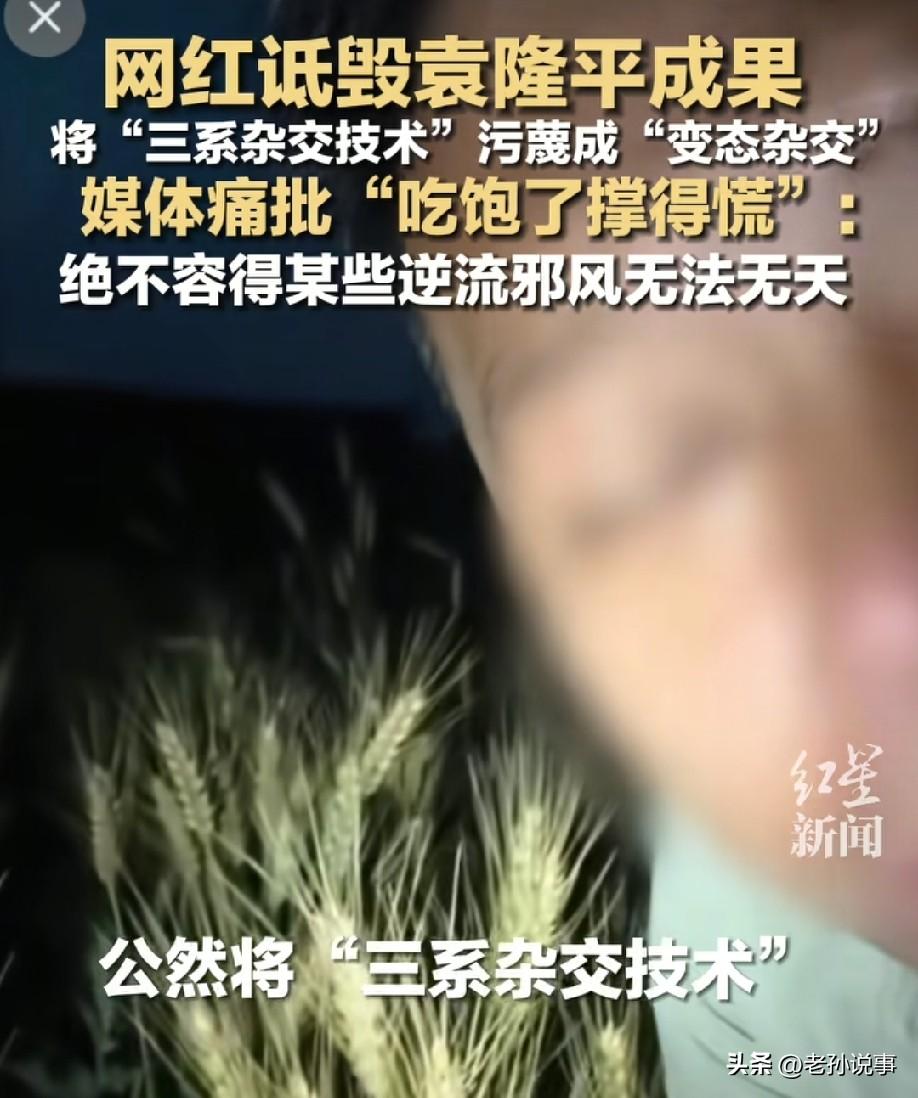 真是吃饱了撑的！有网红竟公然诋毁袁隆平院士，把袁隆平院士独创的“三系杂交”污蔑成