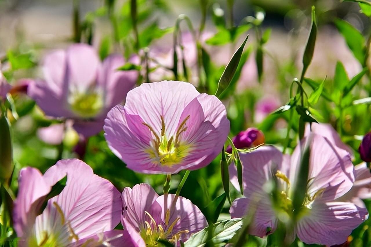 人生不要被过去控制，决定你前行的，是当下；人生不要被别人控制，决定你命运的，是自