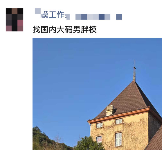 现在模特除了那些瘦瘦的大码的模特也是有需求的我要不要去试试？[喵喵] ​​​