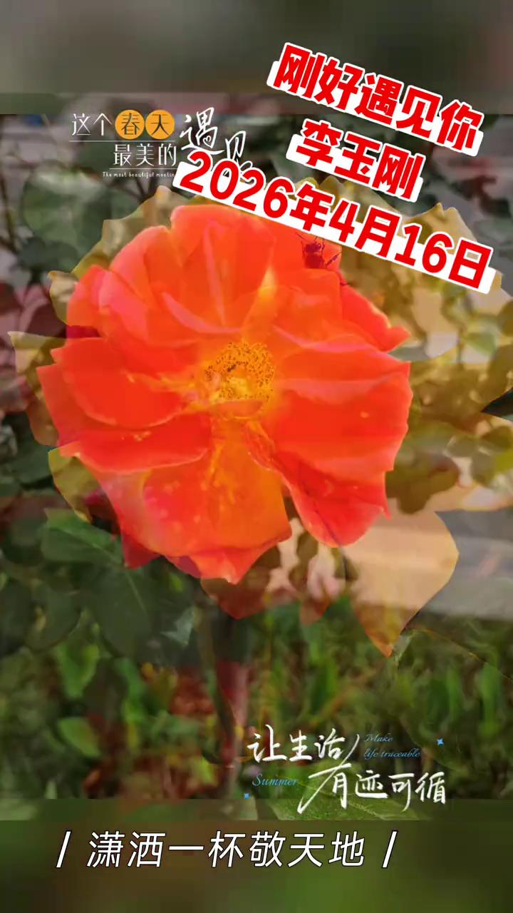 刚好遇见你，最美的遇见。
李玉刚。
进酒"新门派资料片推广曲)-遇见。
这个春天