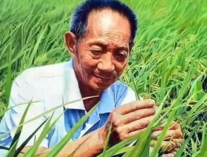 杨某诋毁袁隆平院士科研成果被刑拘，果然如这个人所料，他不是说大不了进去嘛，这下子