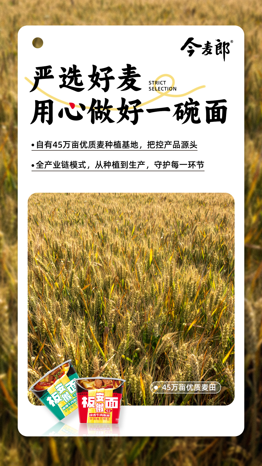 #安徽牛肉板面 河北特产#我才知道安徽板面居然不属于安徽，而是属于河北！真的长见