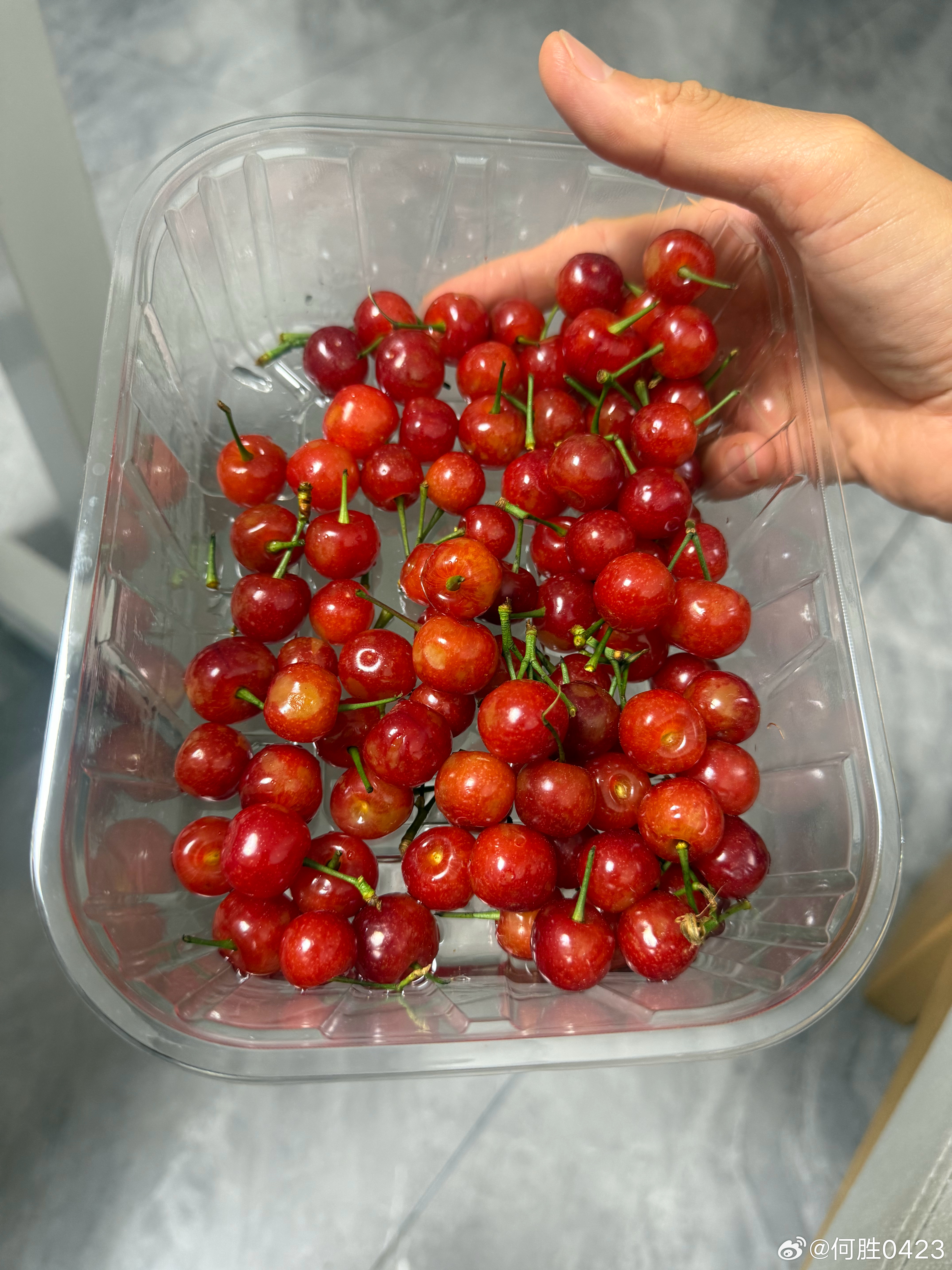 今年的第一波樱桃，除了贵一点，酸一点，别的没毛病，吃完早点睡，别耍手机了，对手机