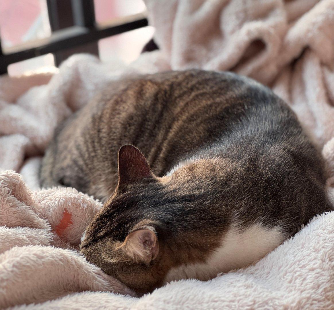 签到签到签到终于周末啦           