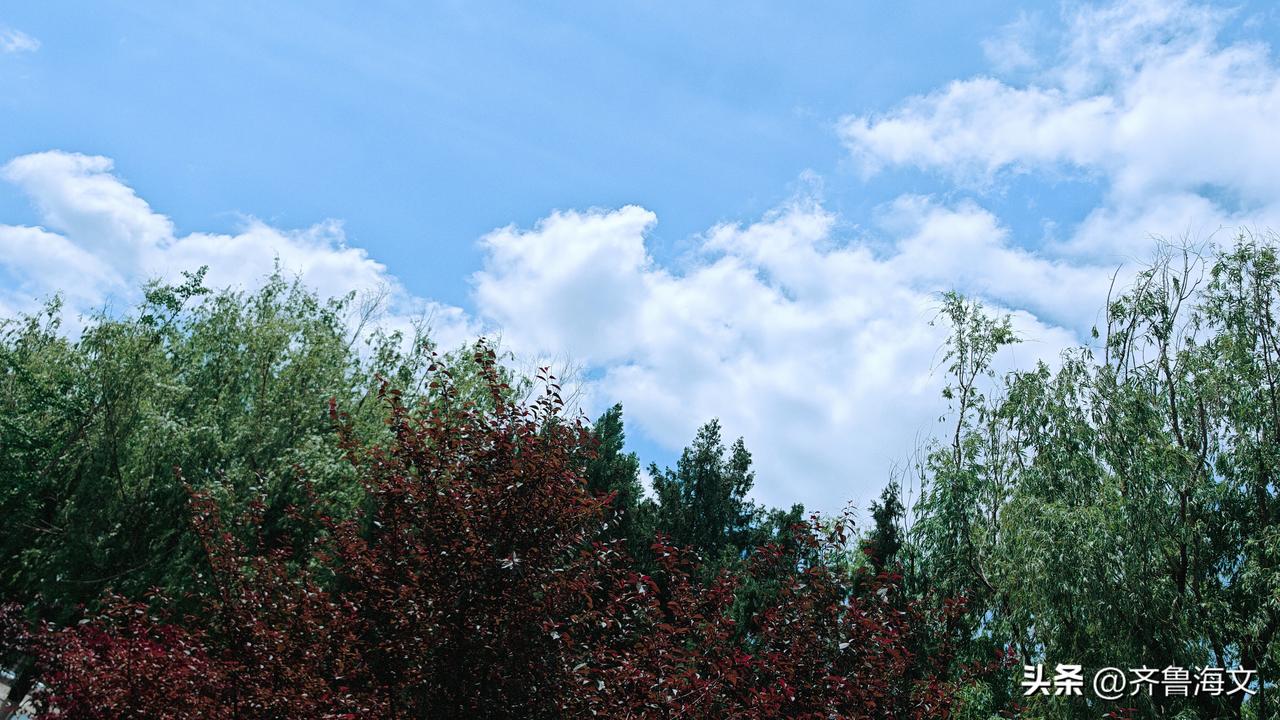 分享一张相册里随手拍的天空蓝天始终是那个温柔的背景，像母亲的怀抱，包容着所有变幻