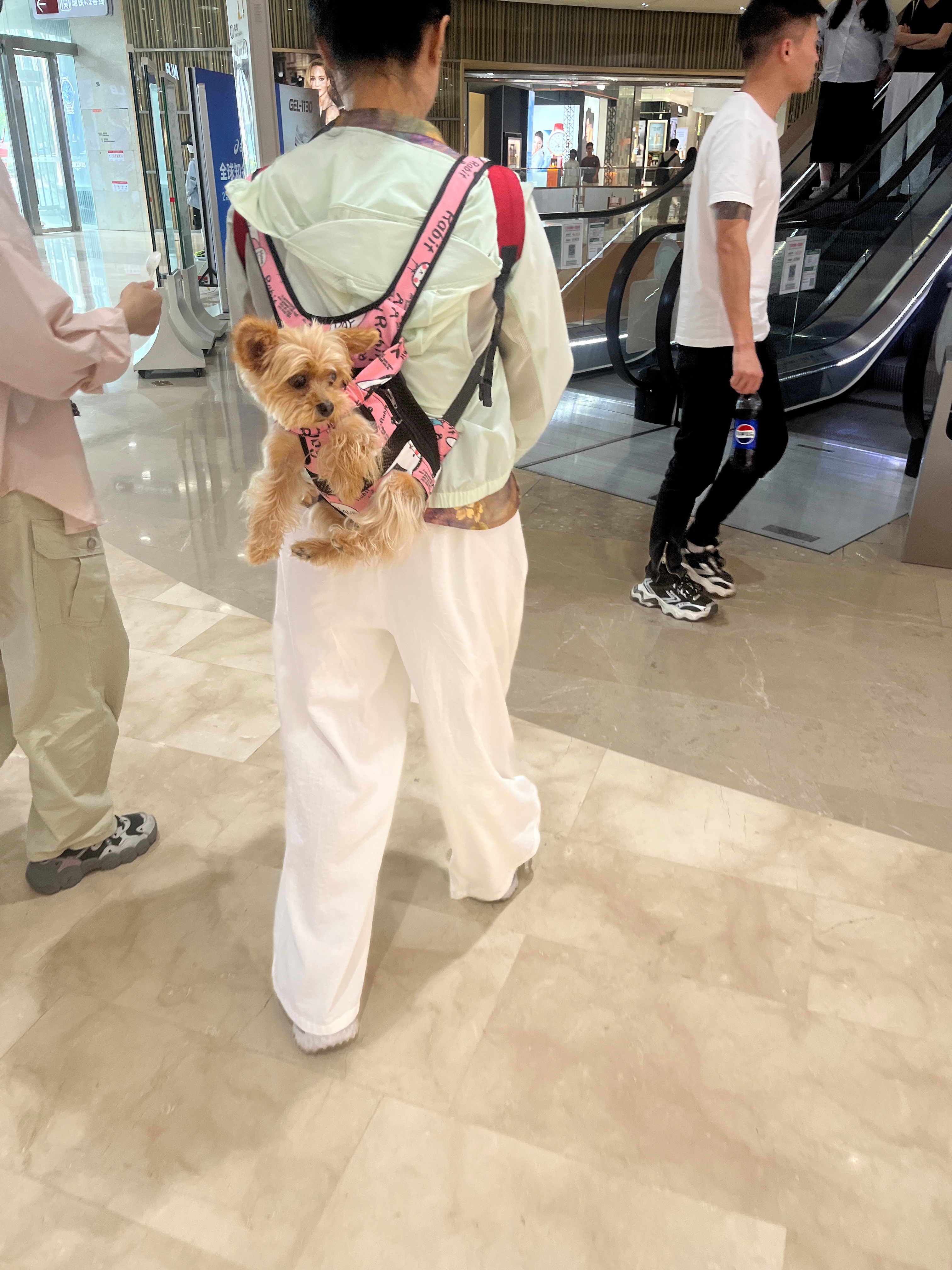 两个小可爱啊 