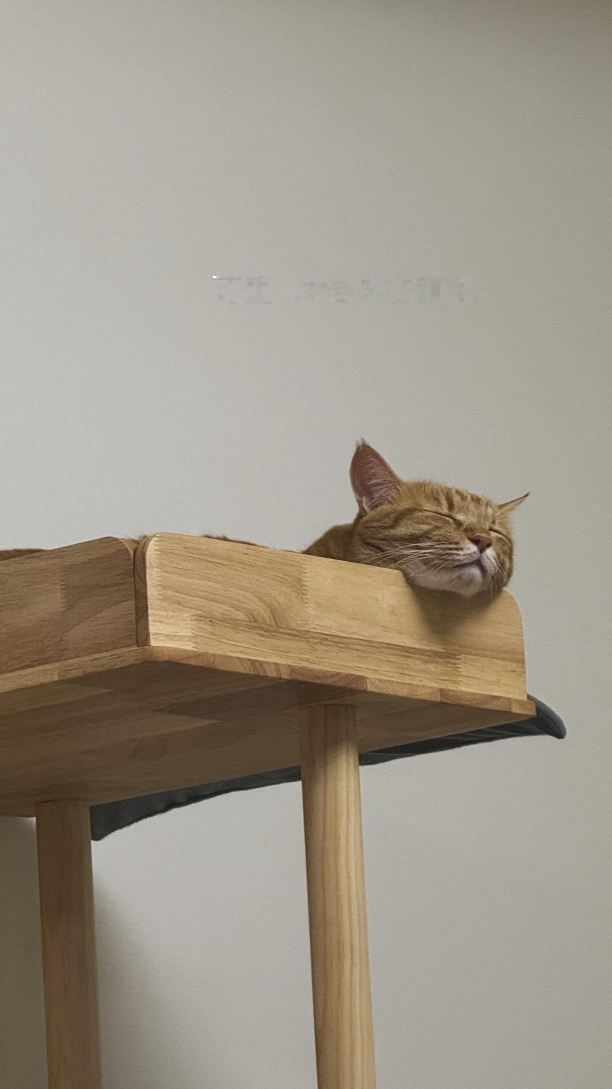 佐々木美玲🍞panchangram