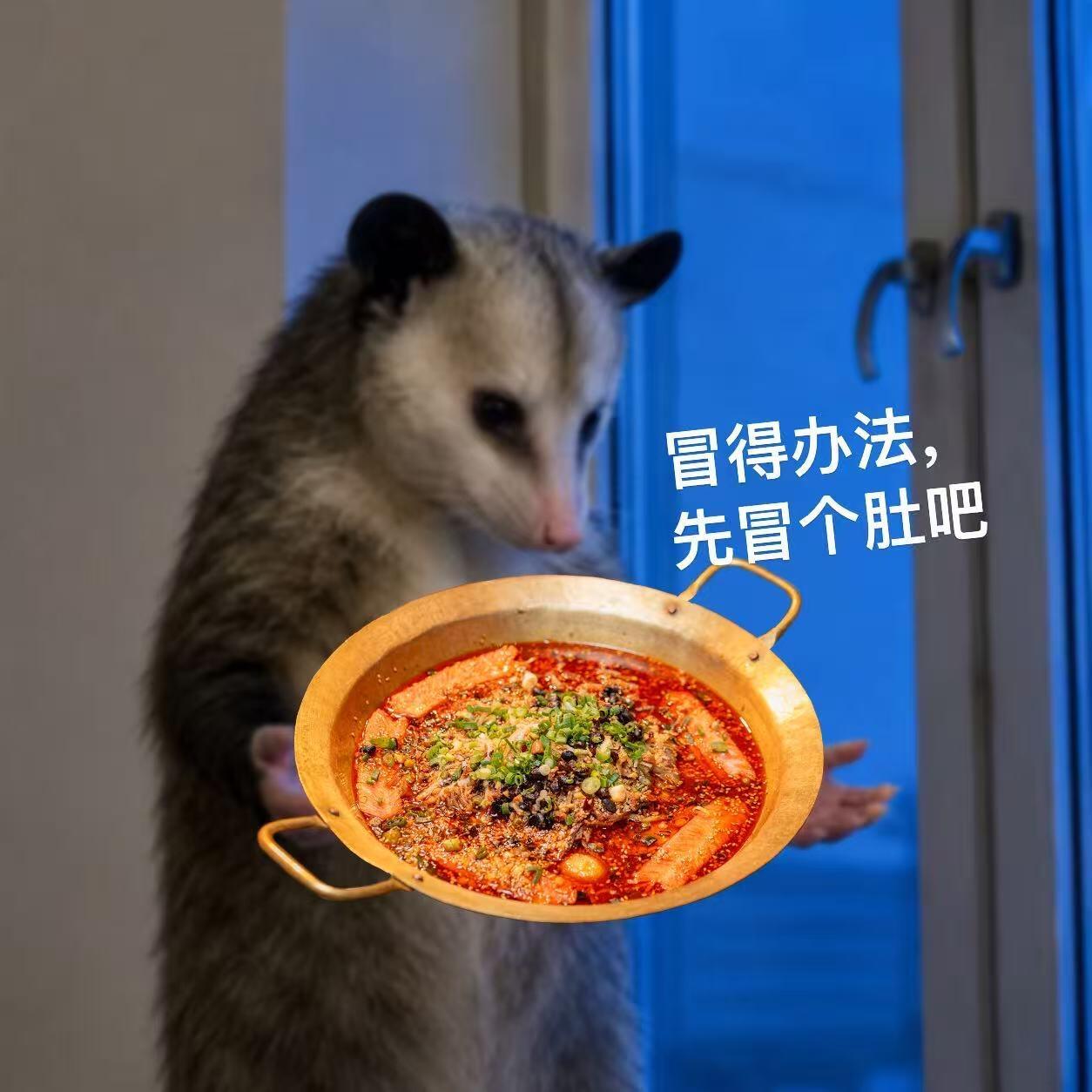 第一次去重庆的真实感受初到重庆碰上阴雨天，没有伤春悲秋，大家都在搜罗美食，食欲永