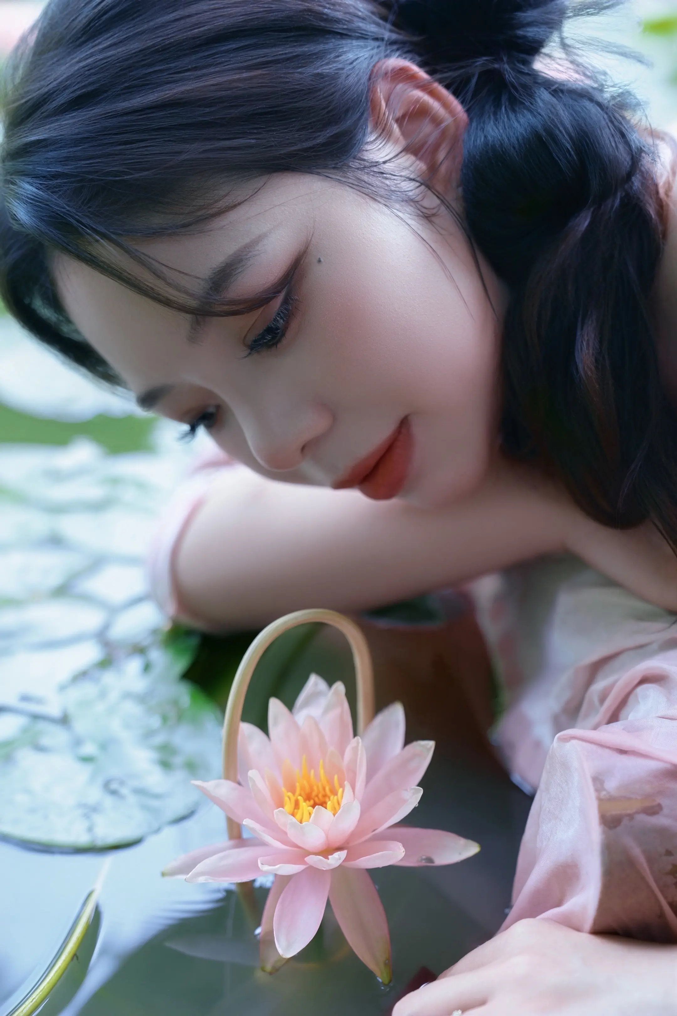 栖卧水畔，枕一池清莲入梦🪷