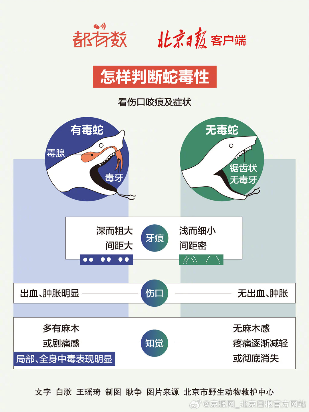 【都有数｜#北京夏季防范蛇类图鉴#】#北京18天抓蛇求助警情217起#近期，蛇类