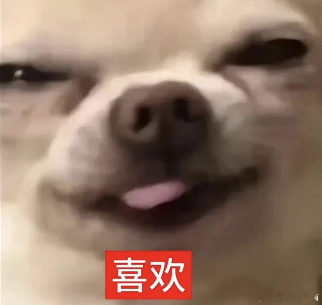 啊啊啊啊啊啊啊啊啊啊啊骄阳似我咋这么好看！！！！完全对味！！老龙老麦一同框我就忍