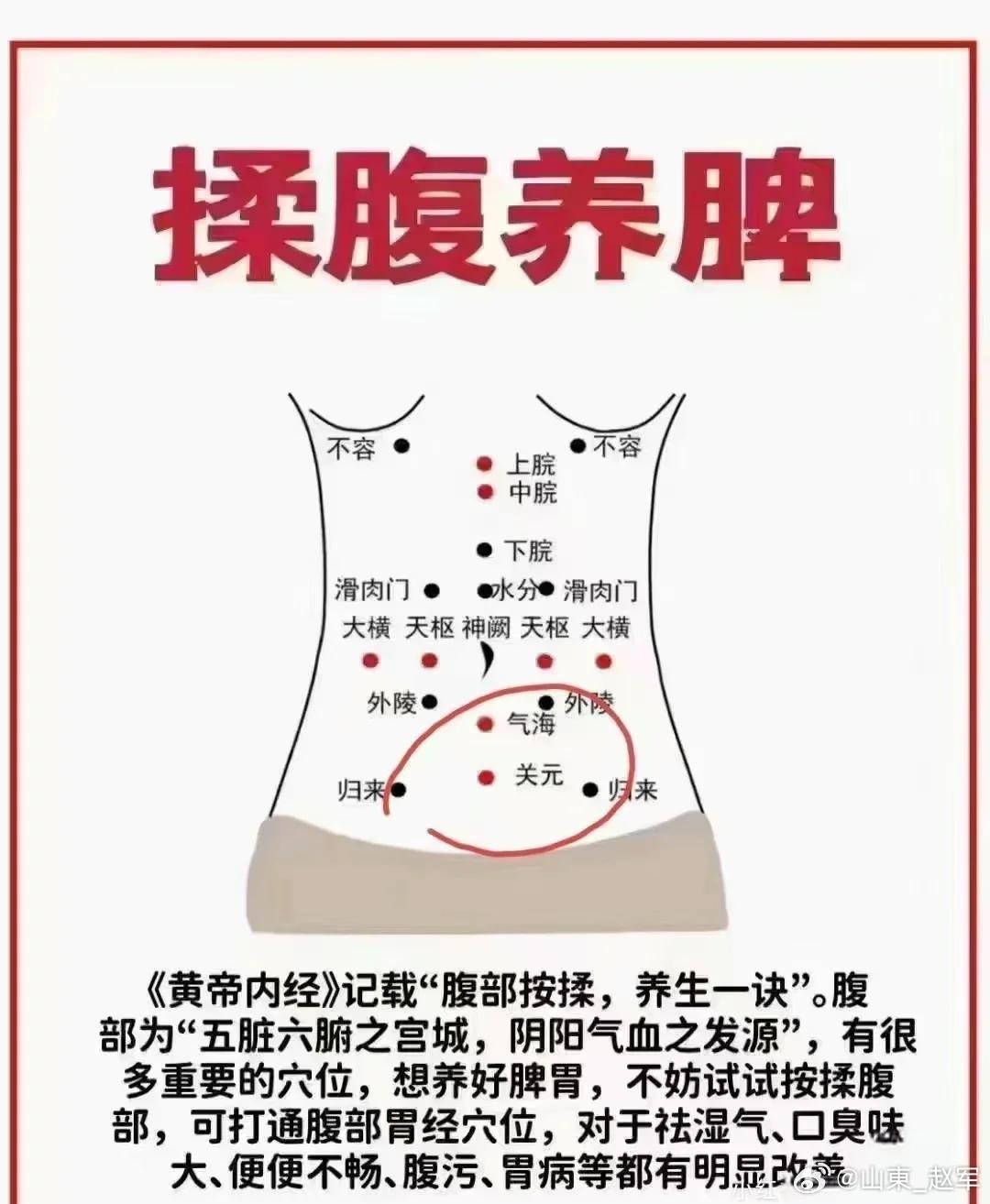 同是降气，何以杏仁、葶苈归于肺，而枳壳、厚朴归于脾胃哉？常有学医者问：“杏仁、葶
