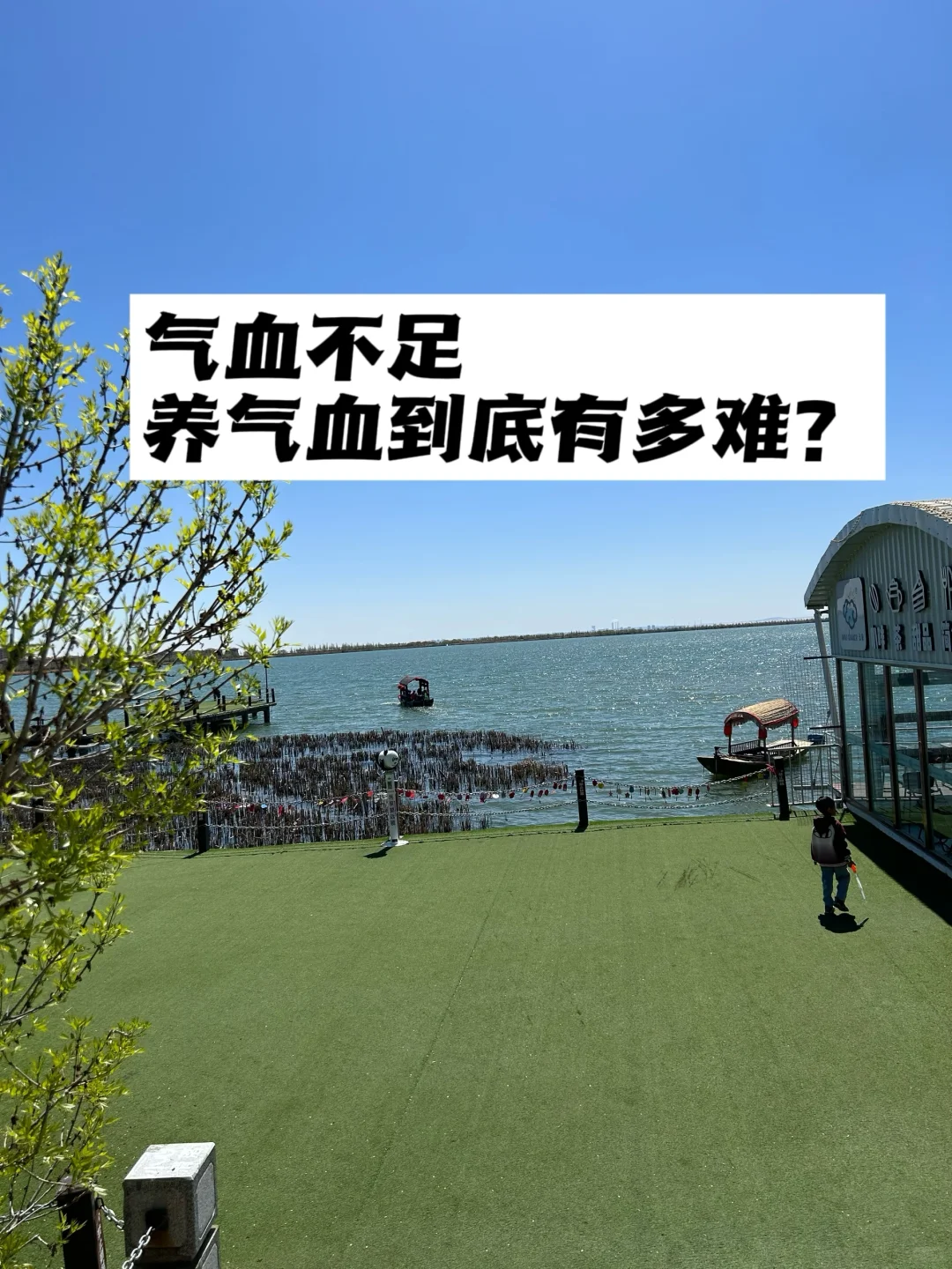 气血不足，养气血到底有多难？