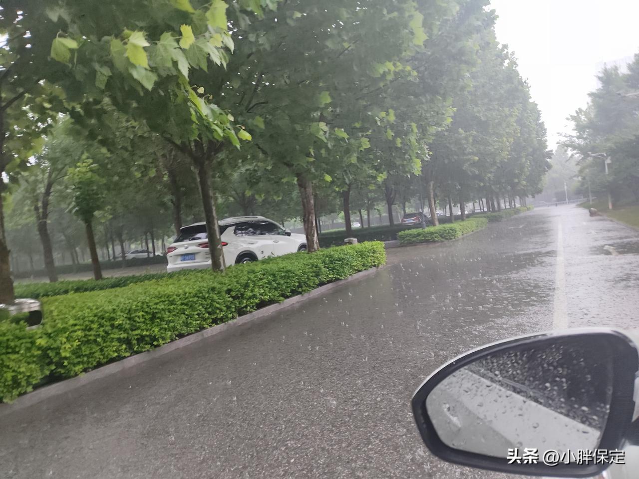 保定又一场大雨来袭，路上有积水安全出行！
天气预报很准，早晨五点左右雨下起来了。